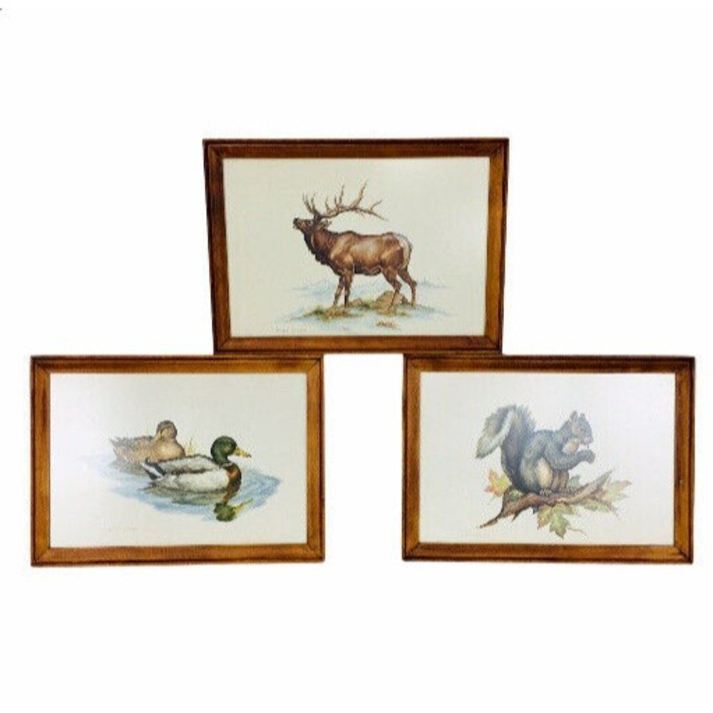 VTG 60's Chevrolet by Clark Bronson Animal Wildlife 3 Framed Lithograph Prints